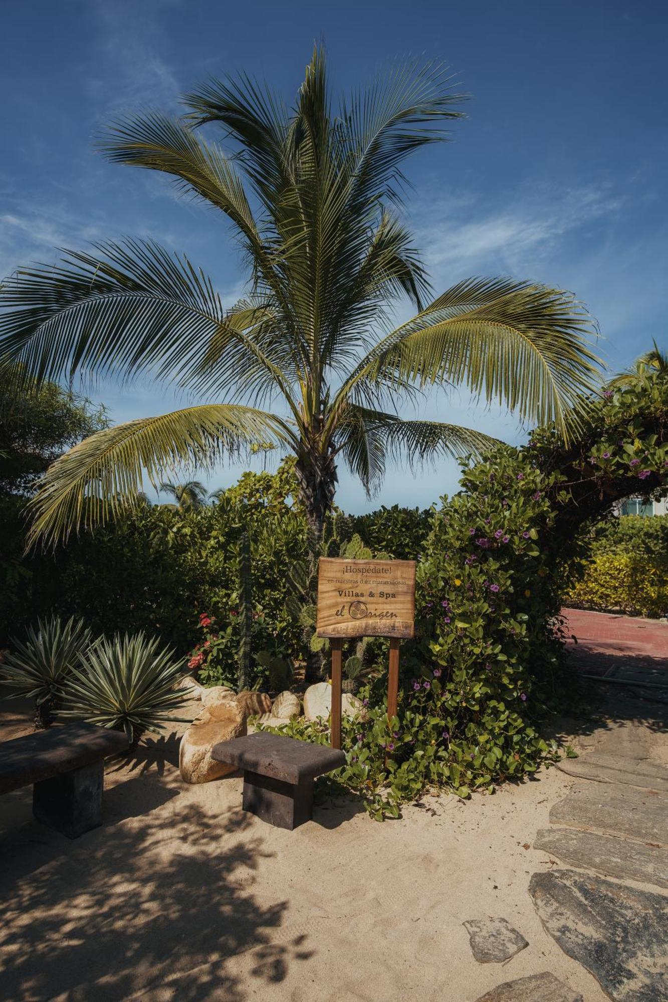 El Origen Villas & Spa-Puerto Escondido Puerto Escondido  Bagian luar foto